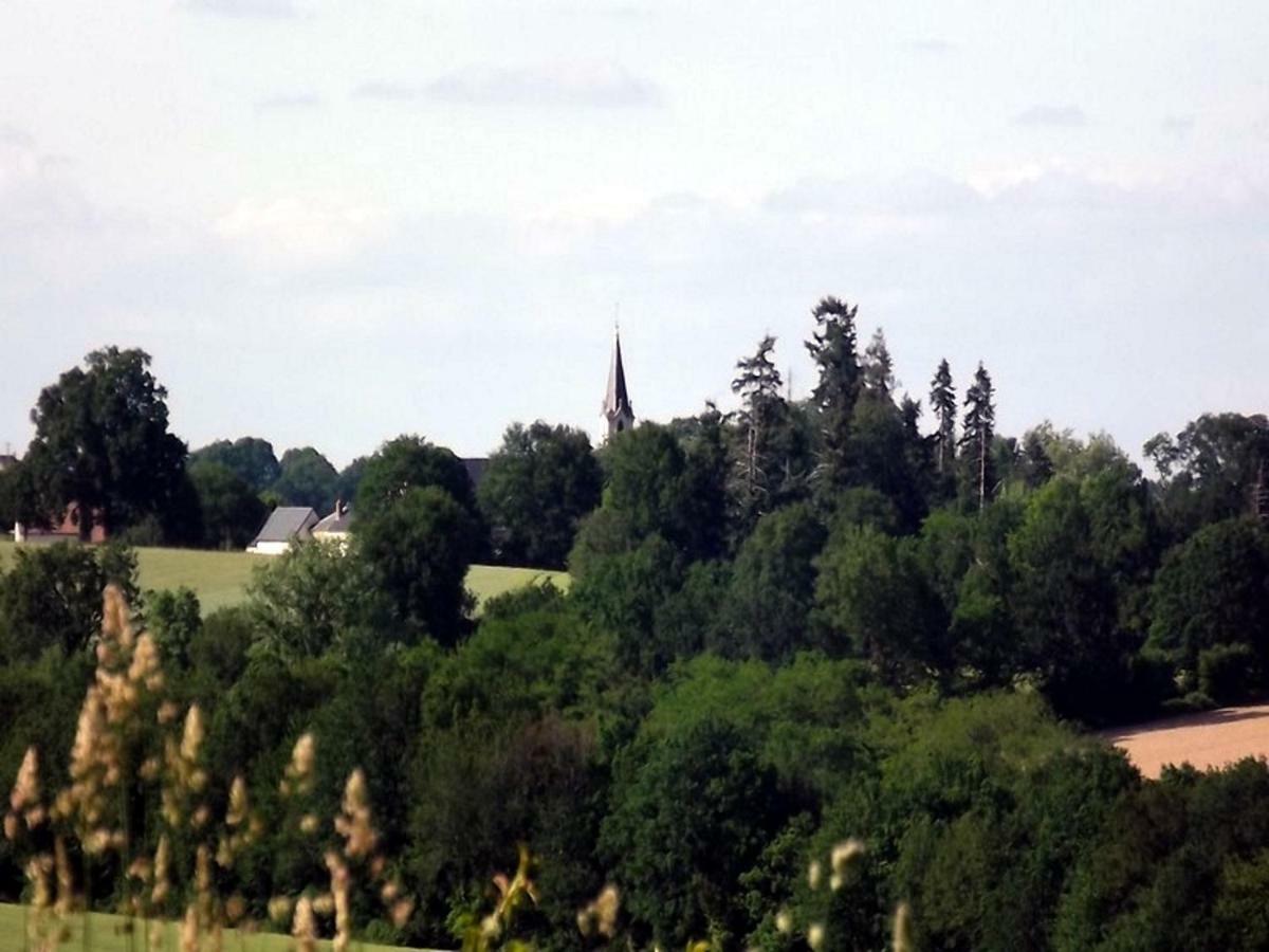 Logis de Chezelles Bed & Breakfast Sidiailles Eksteriør bilde